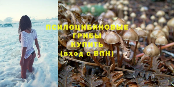 MESCALINE Алзамай