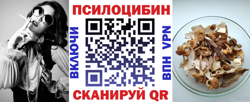 где можно купить наркотик  Тайшет  Галлюциногенные грибы ЛСД 