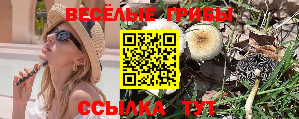 Меф мяу мяу Тайшет