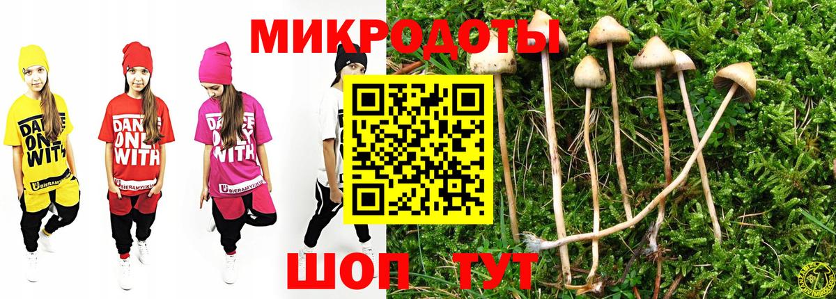 Галлюциногенные грибы Cubensis  Вход с VPN  Тайшет 
