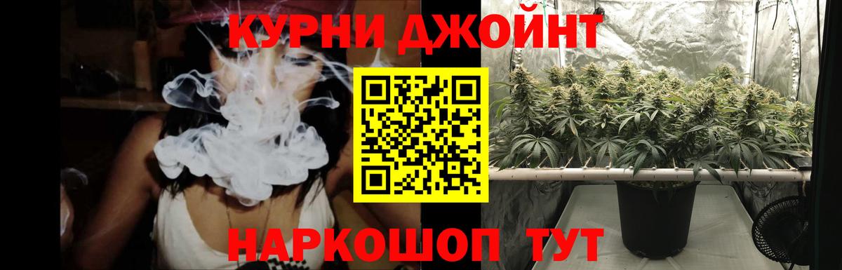 Каннабис планчик Тайшет